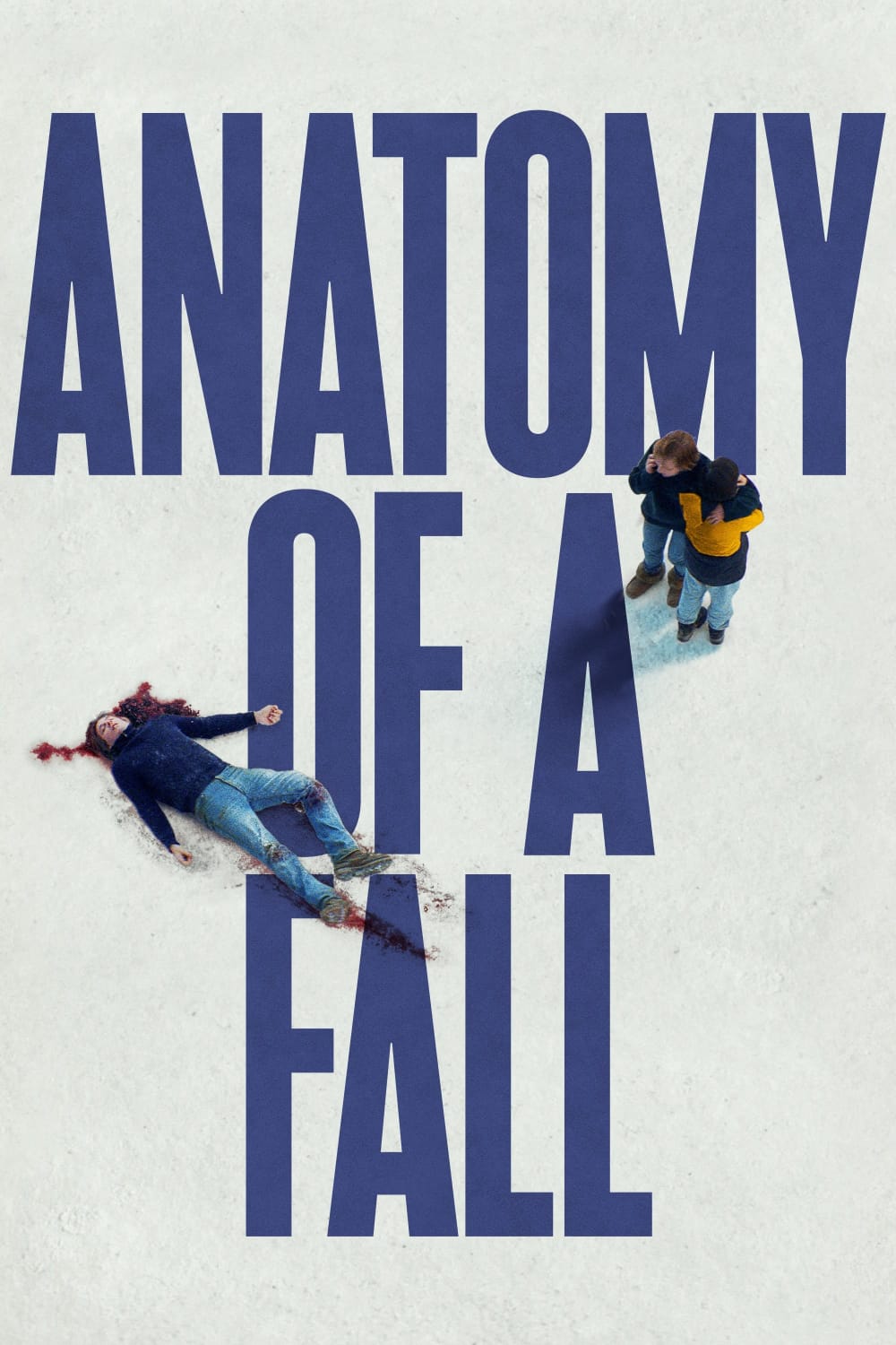 Anatomy of a Fall 2023 Hindi Dubbed Full Movie BluRay ESub –
