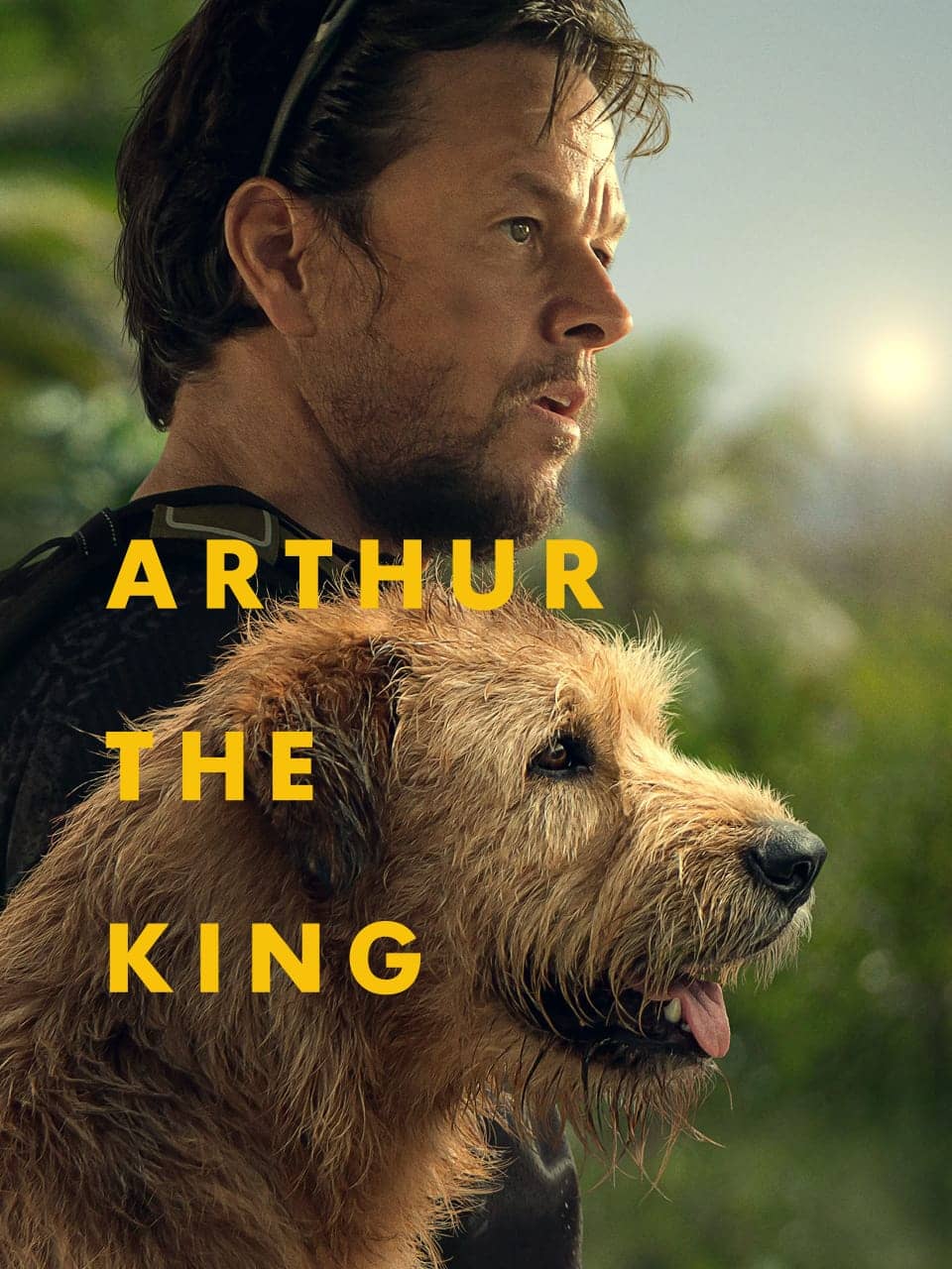 Arthur the King 2024 Dual Audio Hindi English Full Movie BluRay ESub –