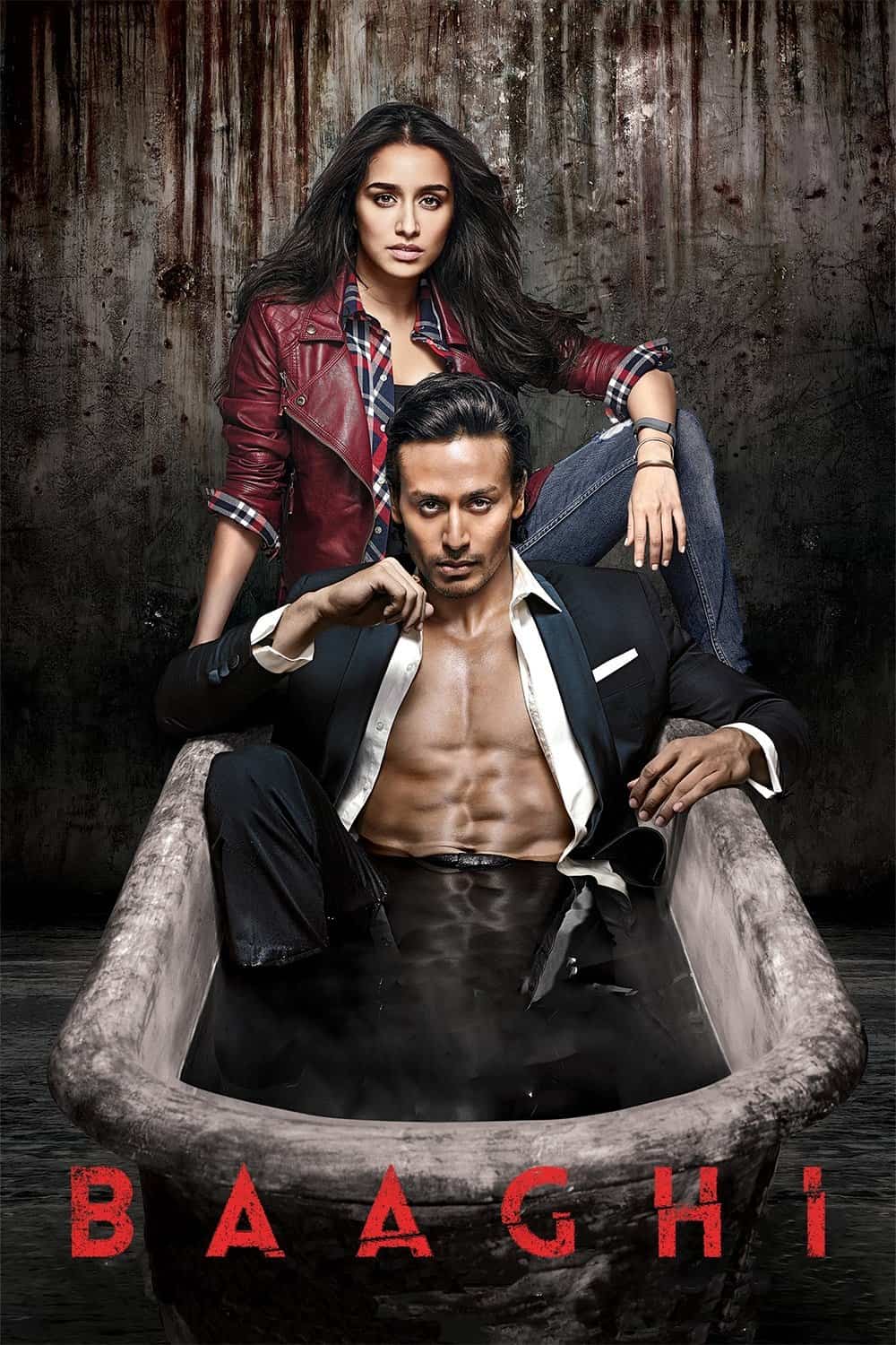 Baaghi 2016 Hindi Full Movie BluRay ESub