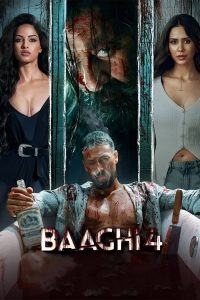 Baaghi 4 2025 Hindi Full Movie HDTC –