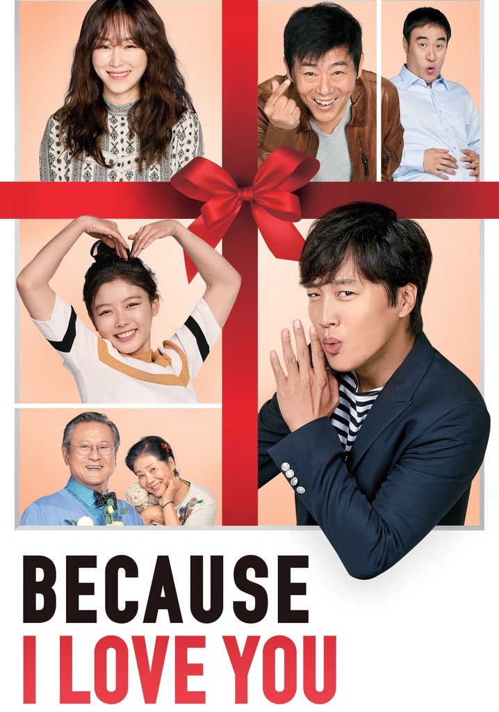 Because I Love You 2017 Dual Audio Hindi Korean Movie HD ESub –
