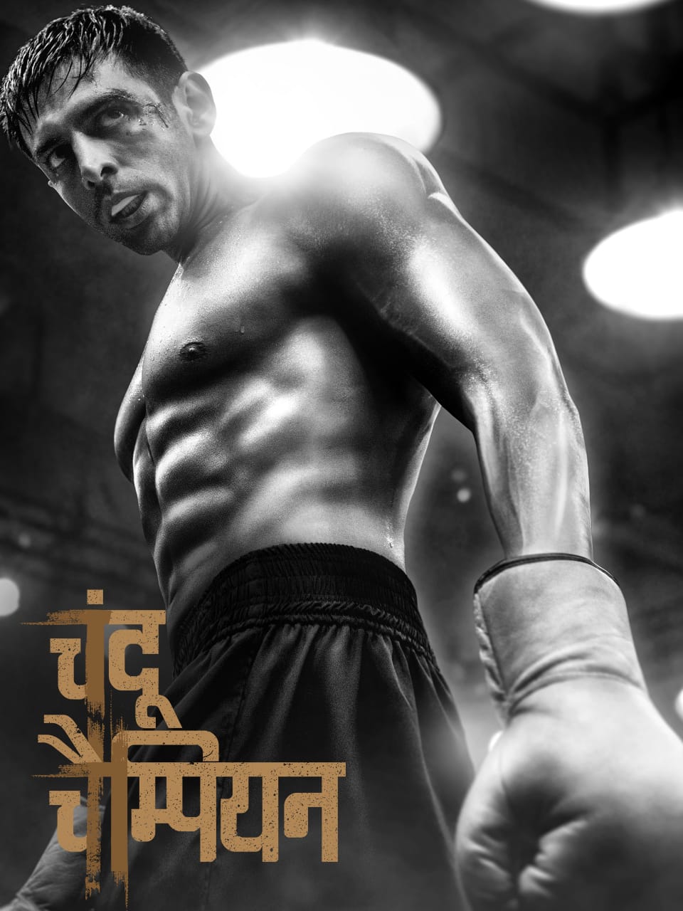 Chandu Champion 2024 Hindi Movie HD ESub –