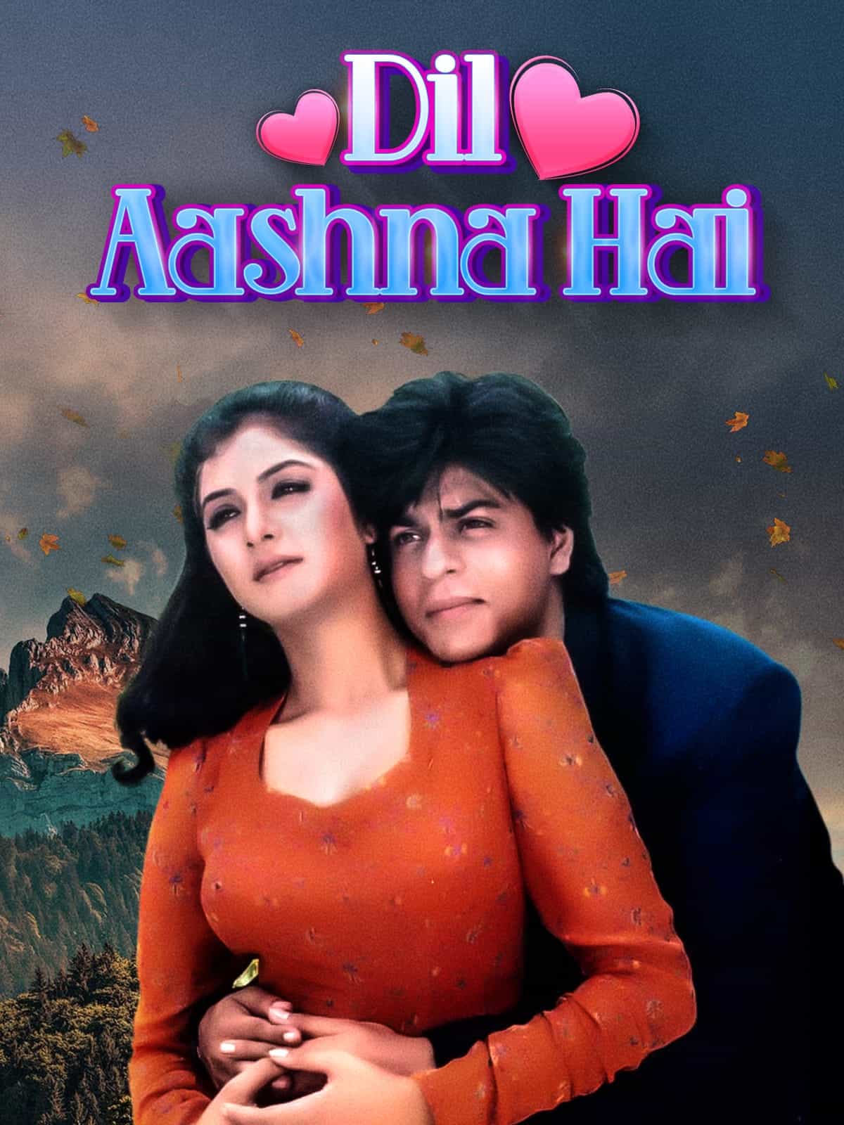 Dil Aashna Hai 1992 Hindi Full Movie HD ESub