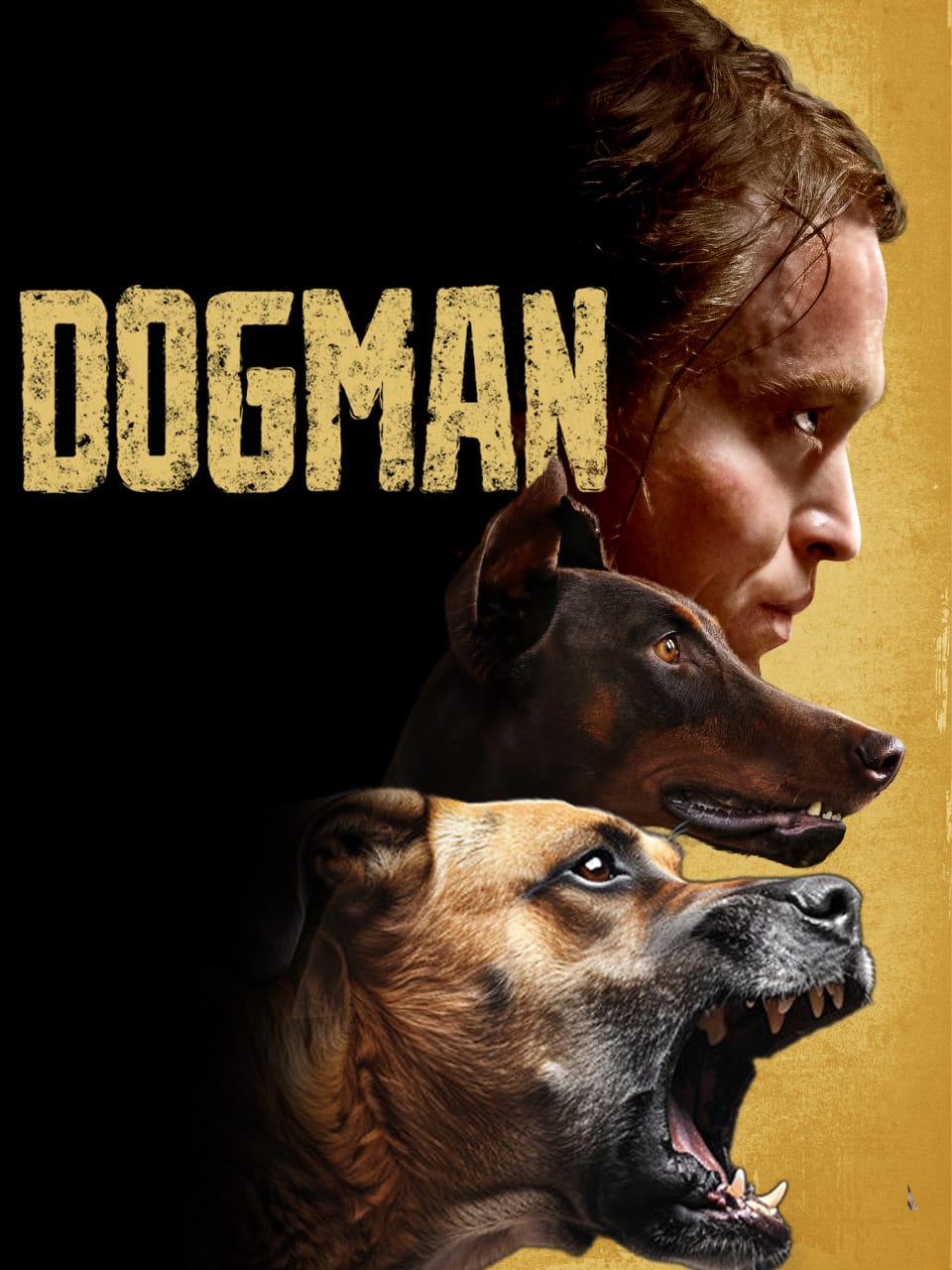 Dogman 2023 Dual Audio Hindi English Movie BluRay ESub –