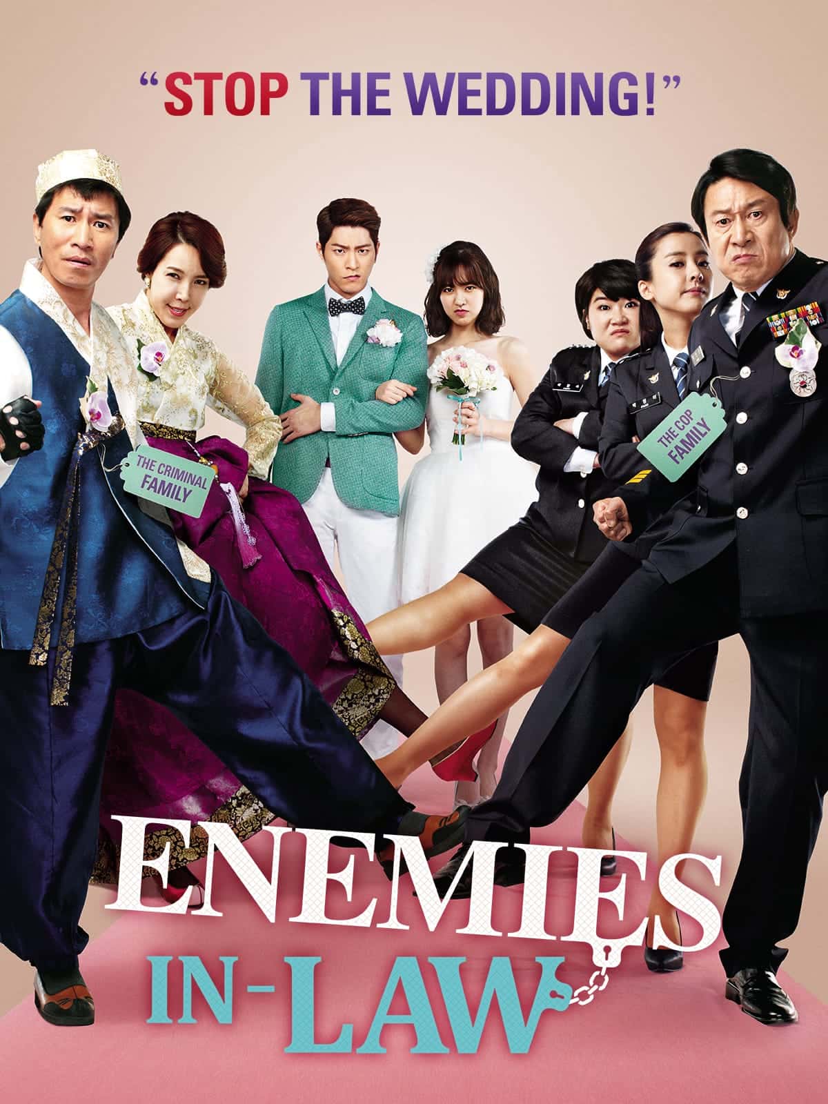 Enemies In Law 2015 Dual Audio Hindi Korean Movie HD ESub –