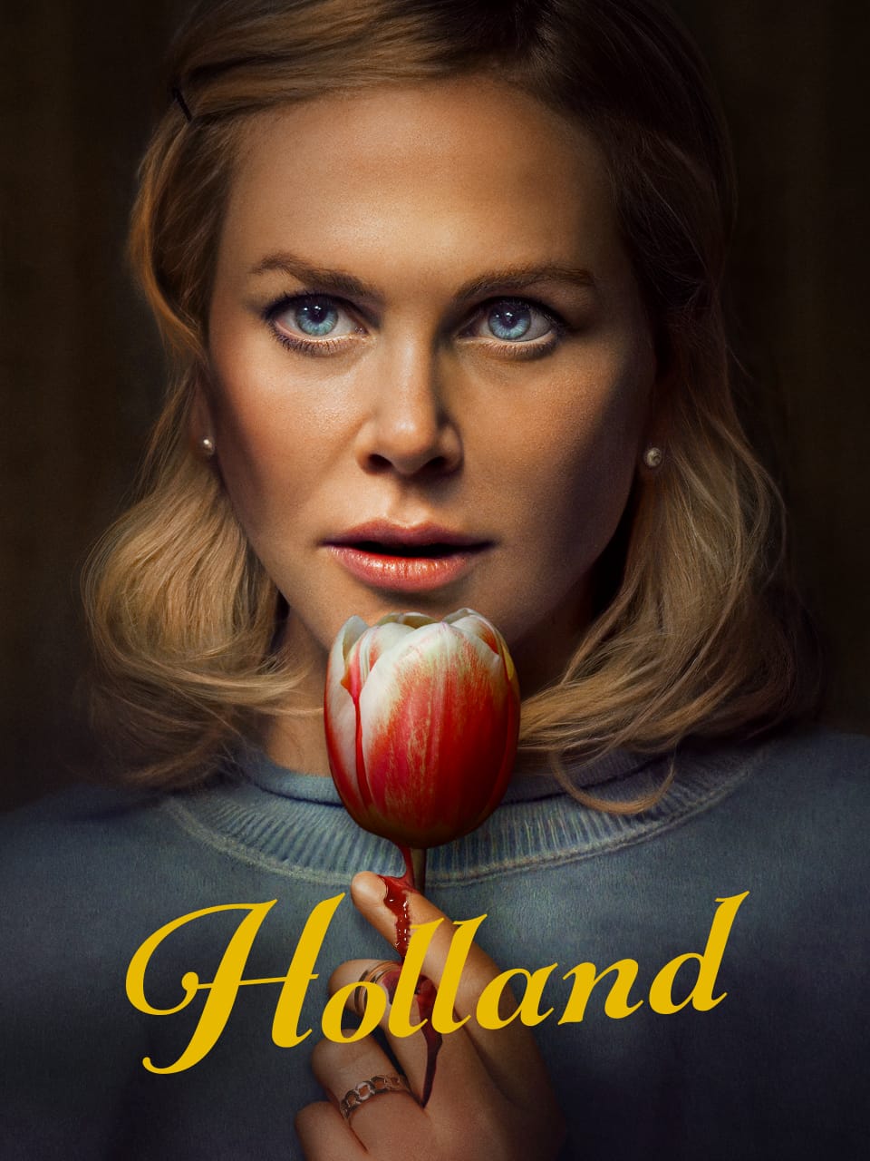 Holland 2025 Dual Audio Hindi English Full Movie HD ESub –