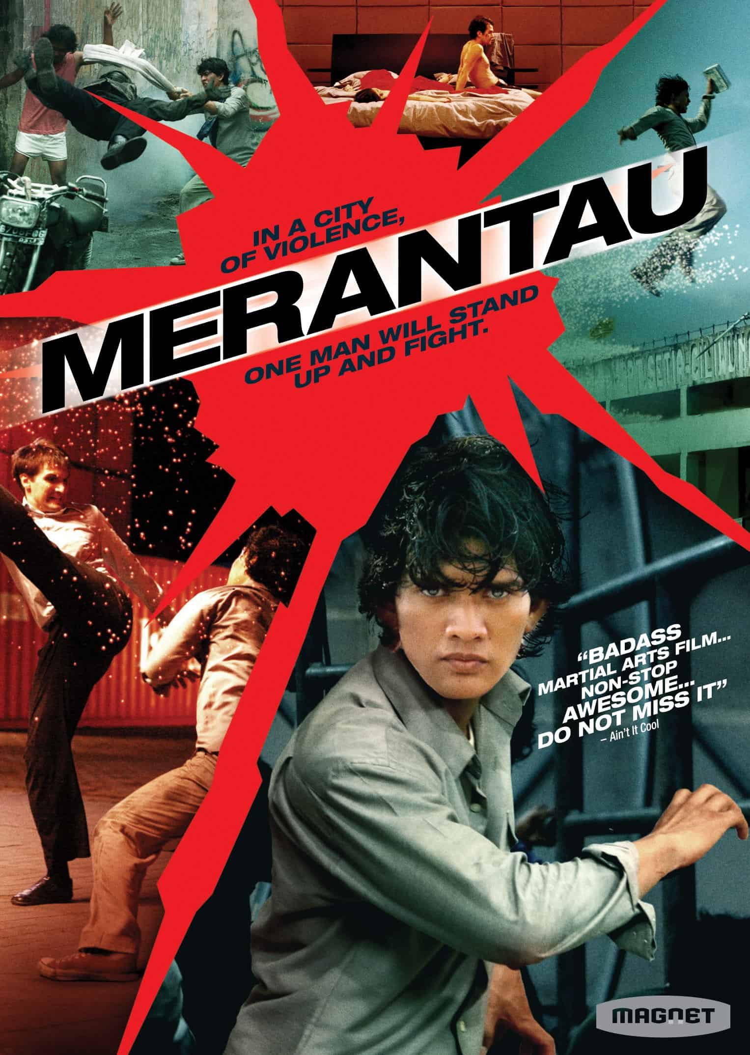 Merantau 2009 Dual Audio Hindi Thai Full Movie BluRay –