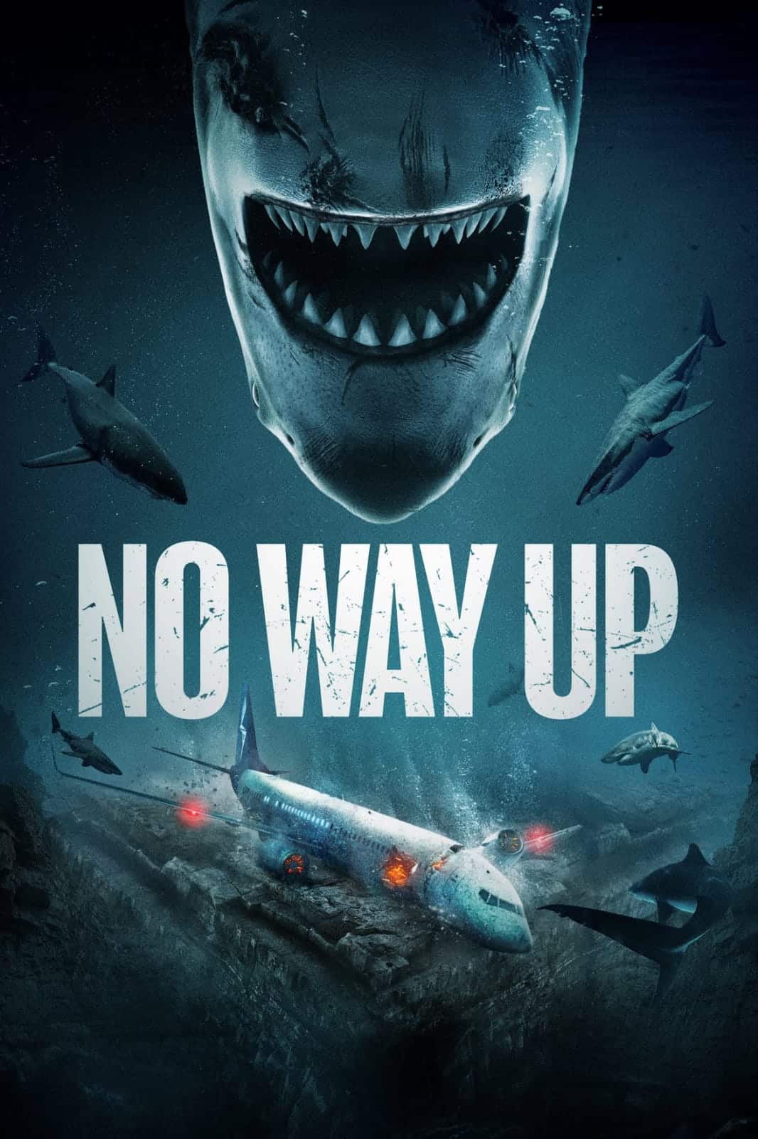 No Way Up 2024 Dual Audio Hindi English Full Movie HD ESub –