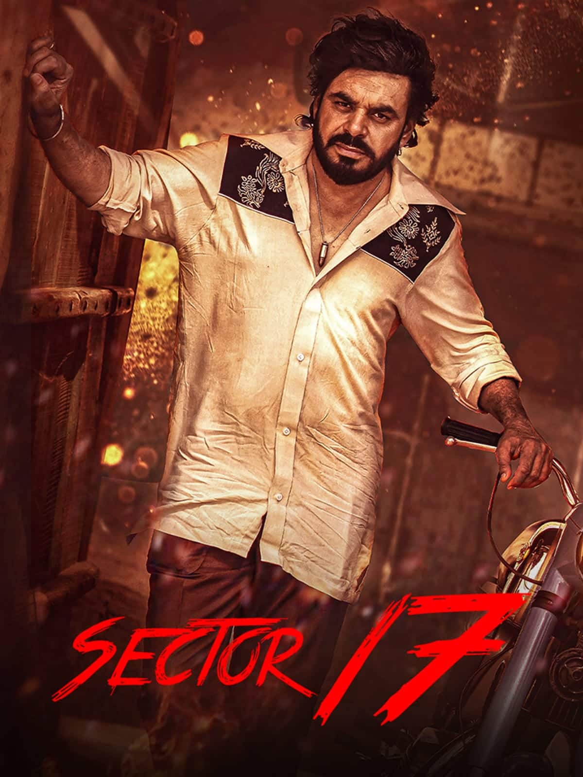 Sector 17 2024 Punjabi Full Movie HD ESub