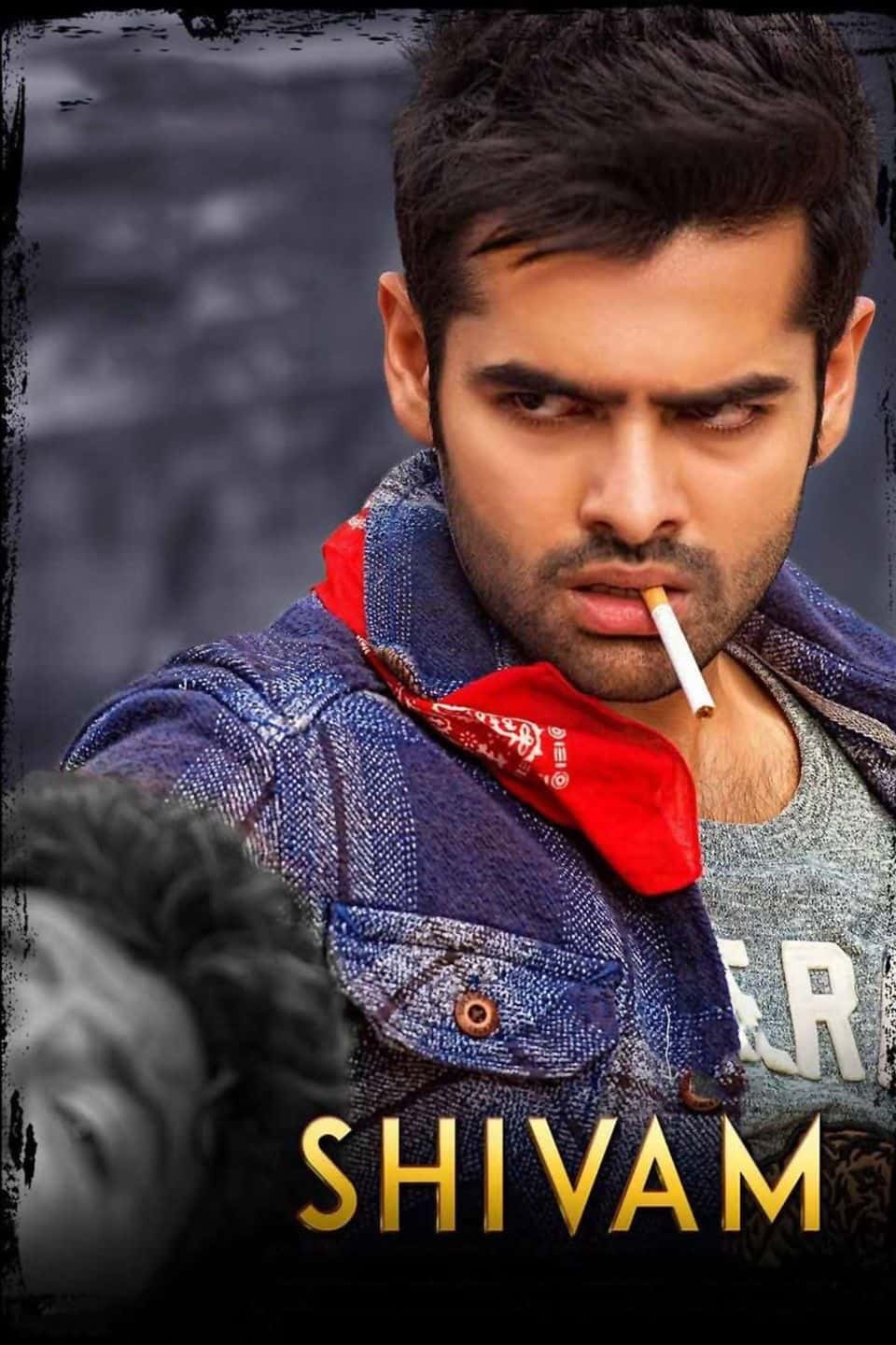 Shivam 2015 UnCut Dual Audio Hindi Telugu Movie HD ESub –