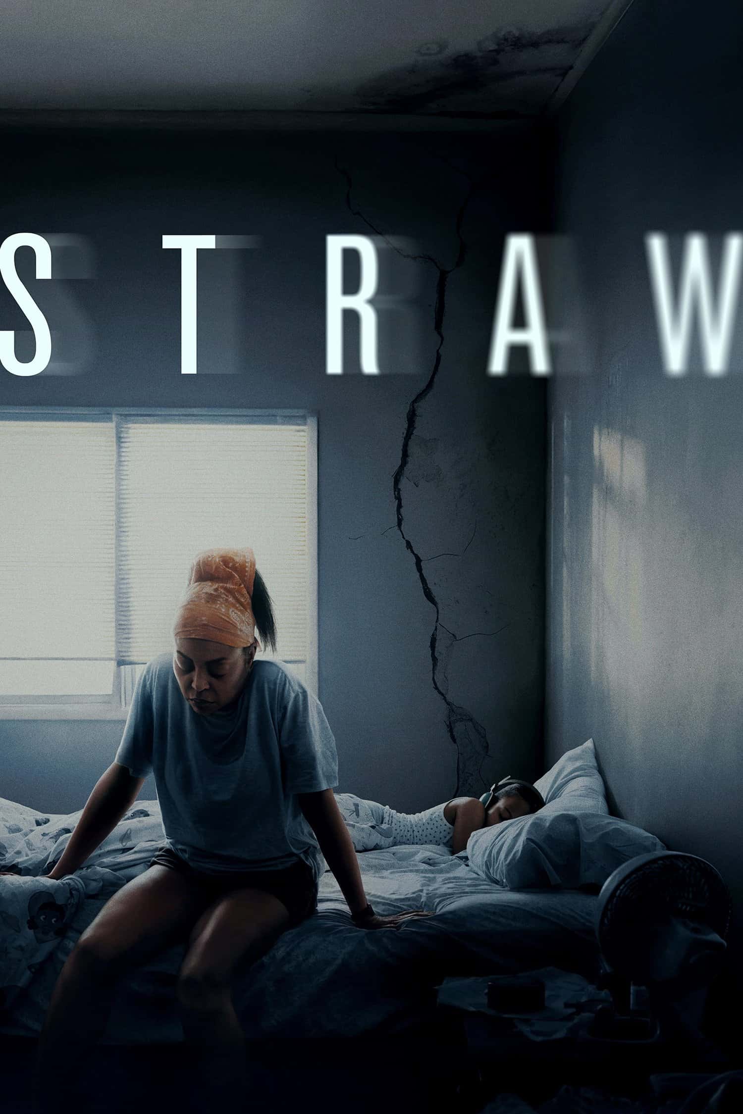 Straw 2025 Dual Audio Hindi English Full Movie HD ESub –