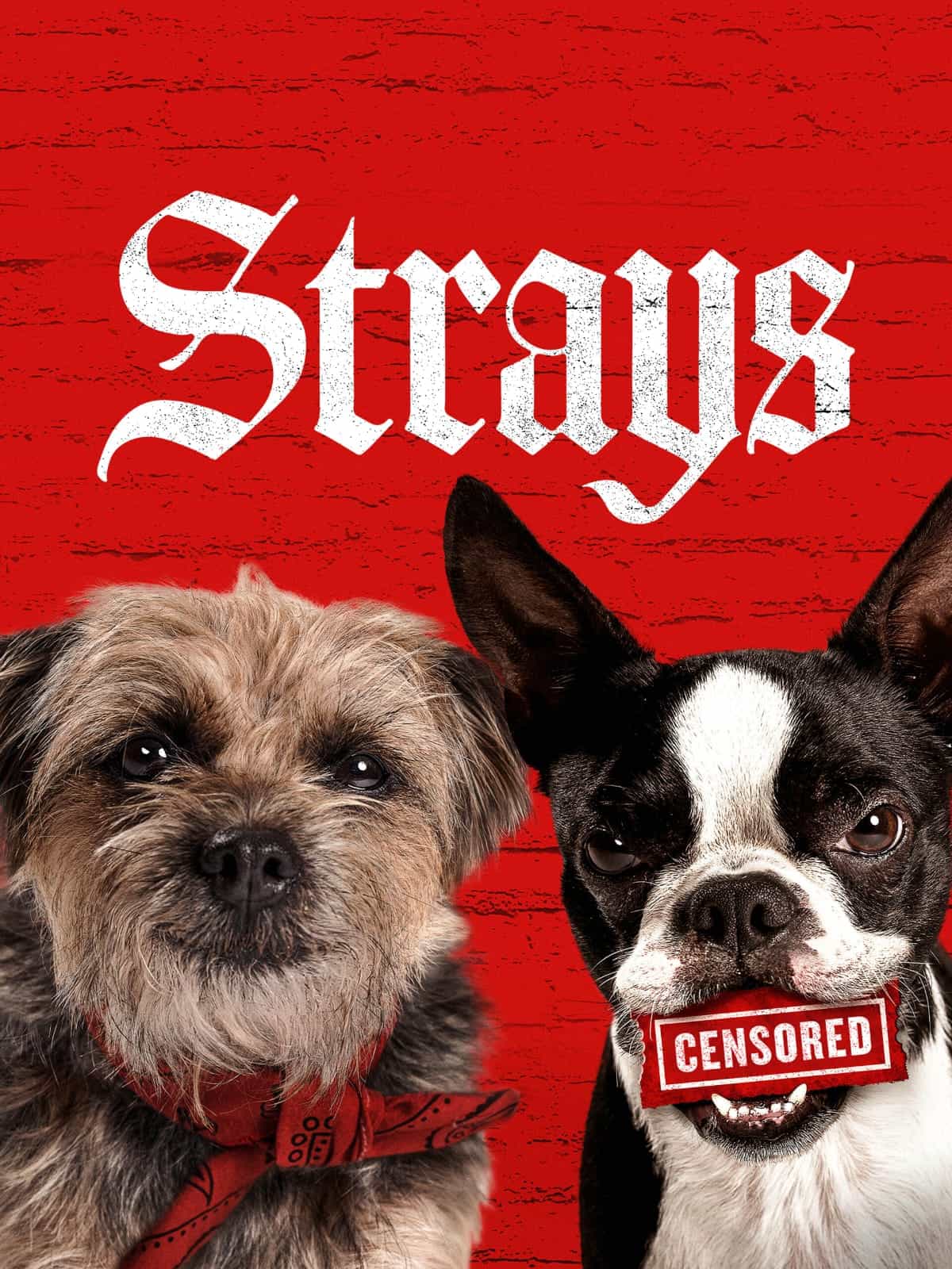 Strays 2023 Dual Audio Hindi English Full Movie BluRay ESub –