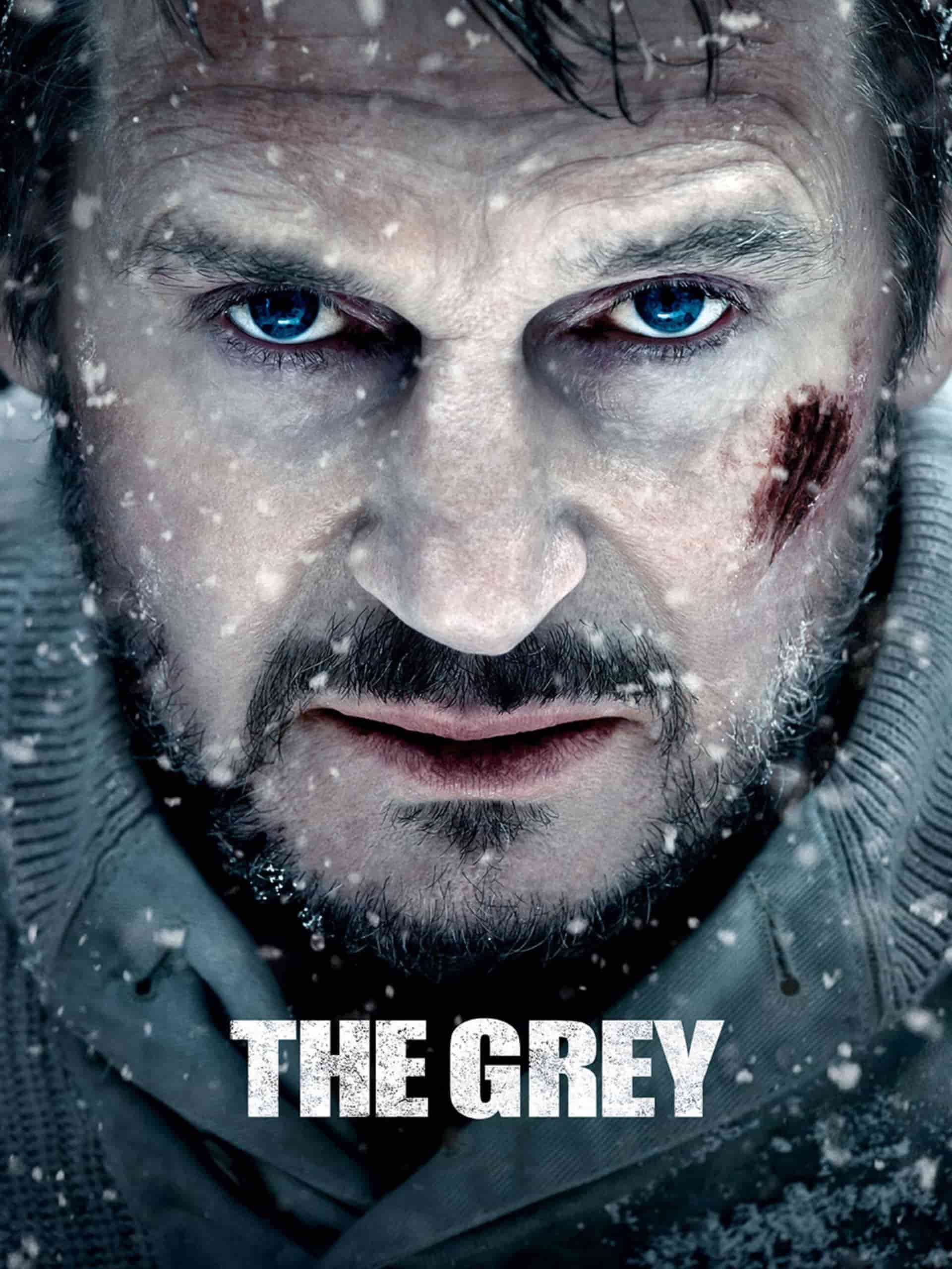 The Grey 2011 Dual Audio Hindi English Full Movie BluRay ESub –