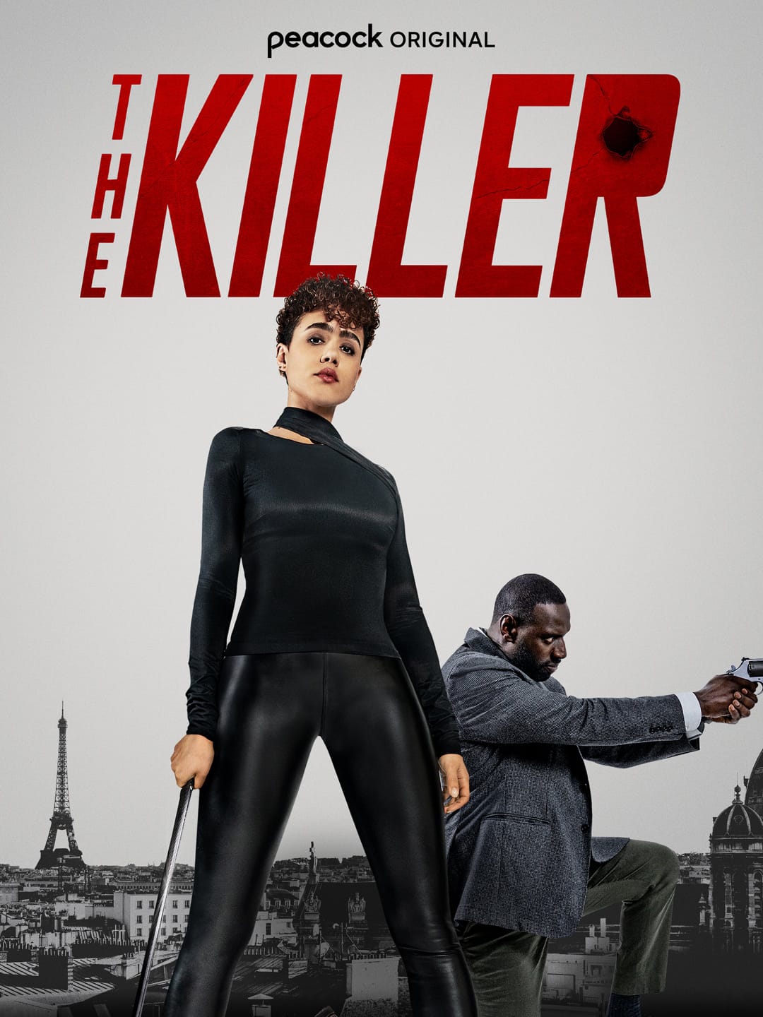 The Killer 2024 Dual Audio Hindi English Movie HD ESub –